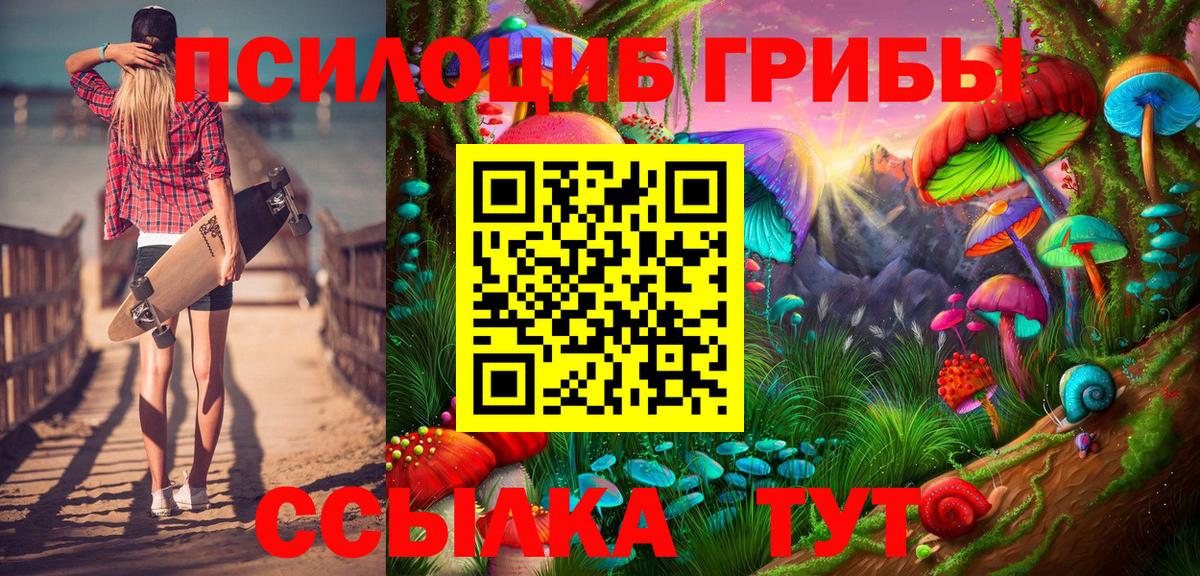 Псилоцибиновые грибы Psilocybine cubensis Улан-Удэ